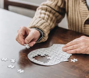 Psychiatric Care For Dementia In Australia at Elysea HEALTH
